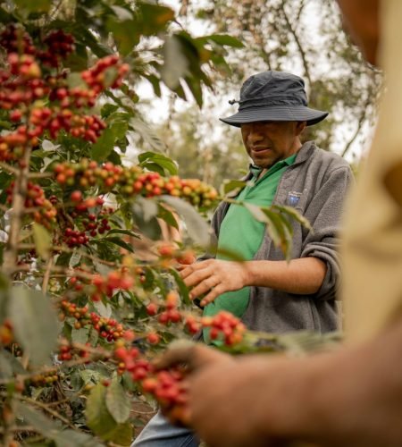 black-death-brew-colombian-coffe-veteran-drink-craft-coffe