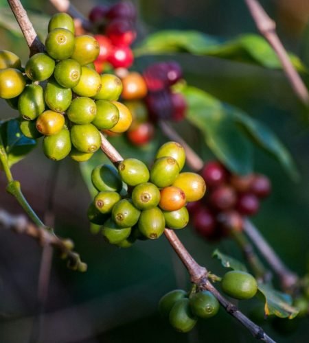 rodrigo-flores-NQYhyday55A-unsplash-min